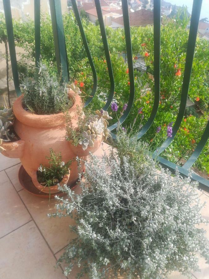Apartman Betty Šibenik Eksteriør billede